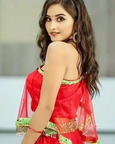 Escort In Shakurpur